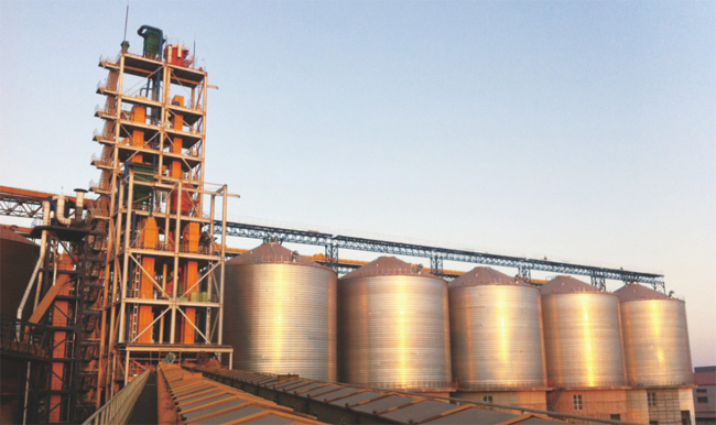 山東北大荒糧食倉儲物流建設(shè)總承包項目