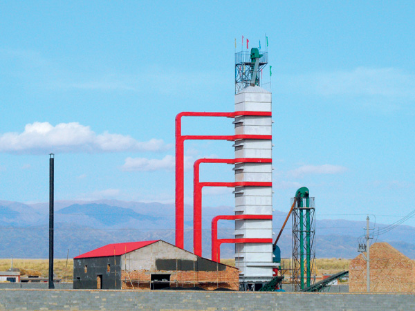 新疆額敏晟羲農副產品專業合作社200t玉米烘干系統