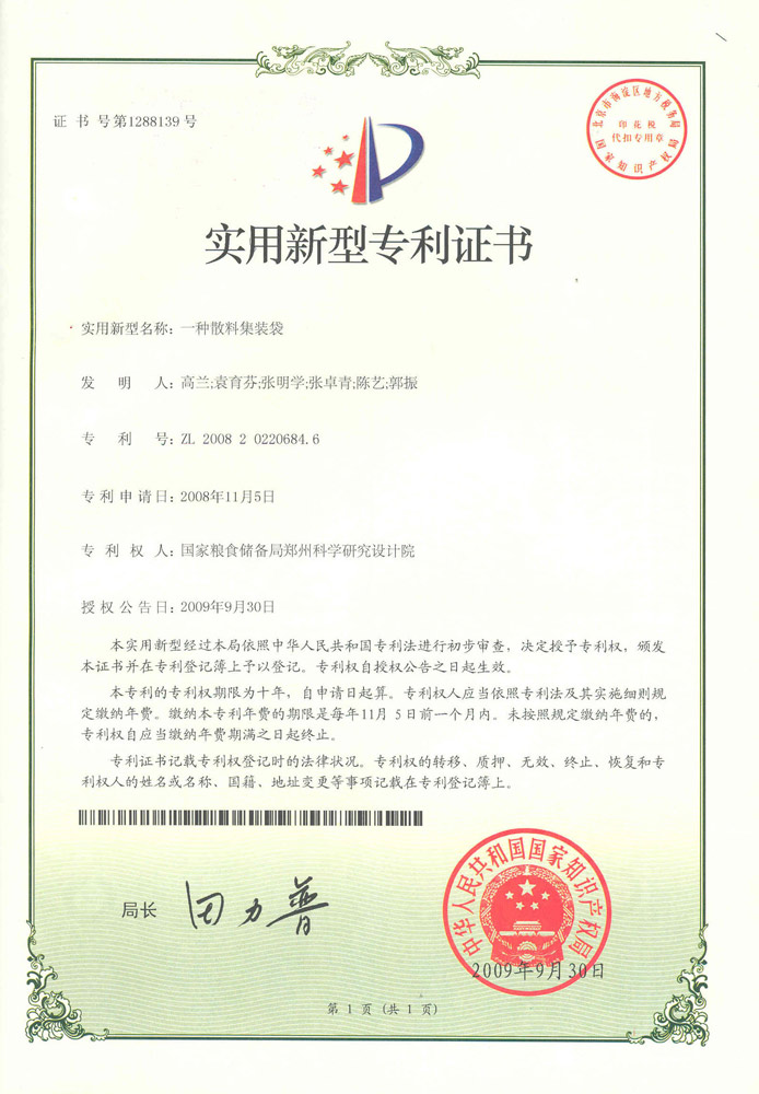 2009一種散料集裝袋